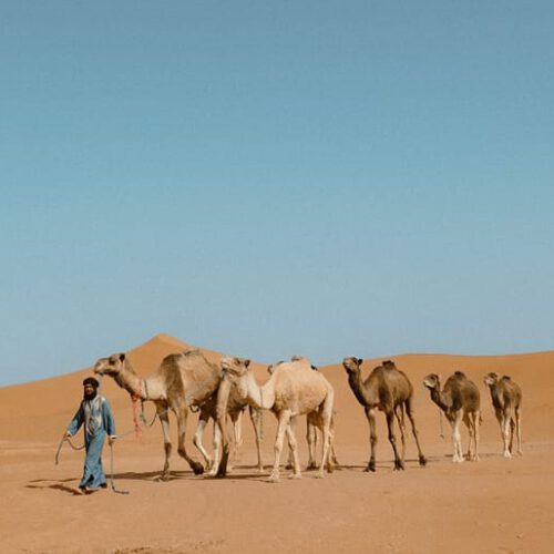 PHOTO-2025-07-10-13-50-04